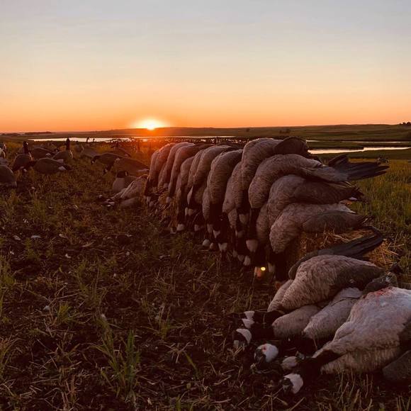 Meet your Posher, Cole - Picture 1 of 1